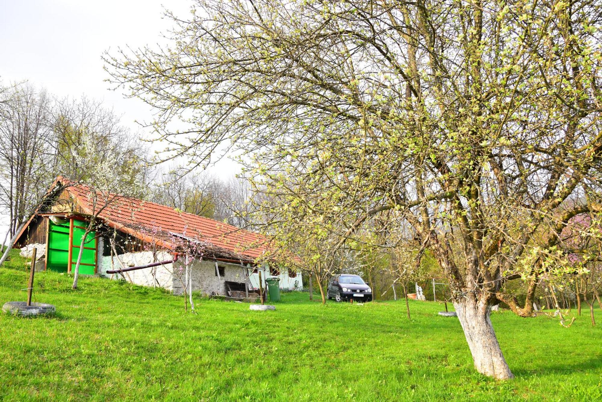 La Salasul Fermecat In Cheile Carasului Iabalcea Exterior foto