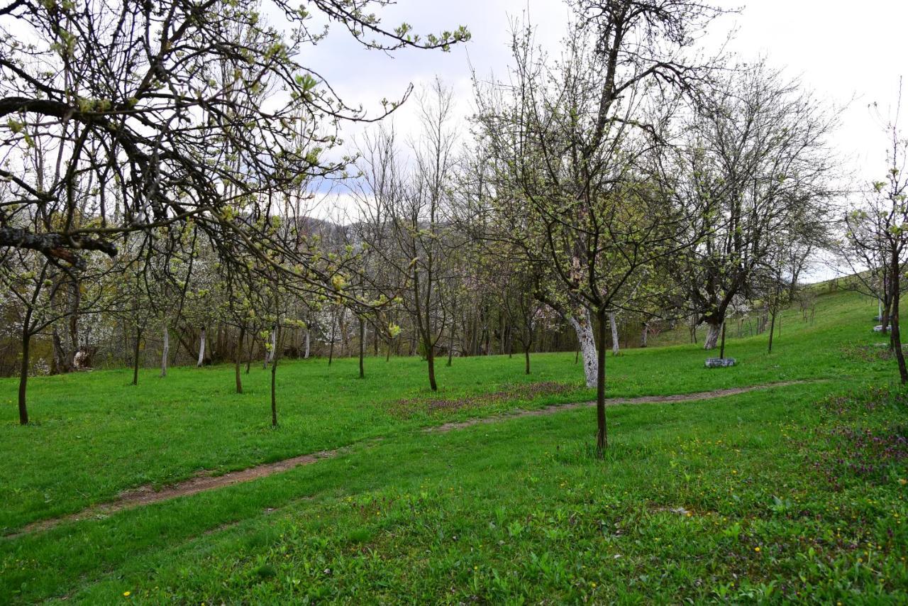 La Salasul Fermecat In Cheile Carasului Iabalcea Exterior foto