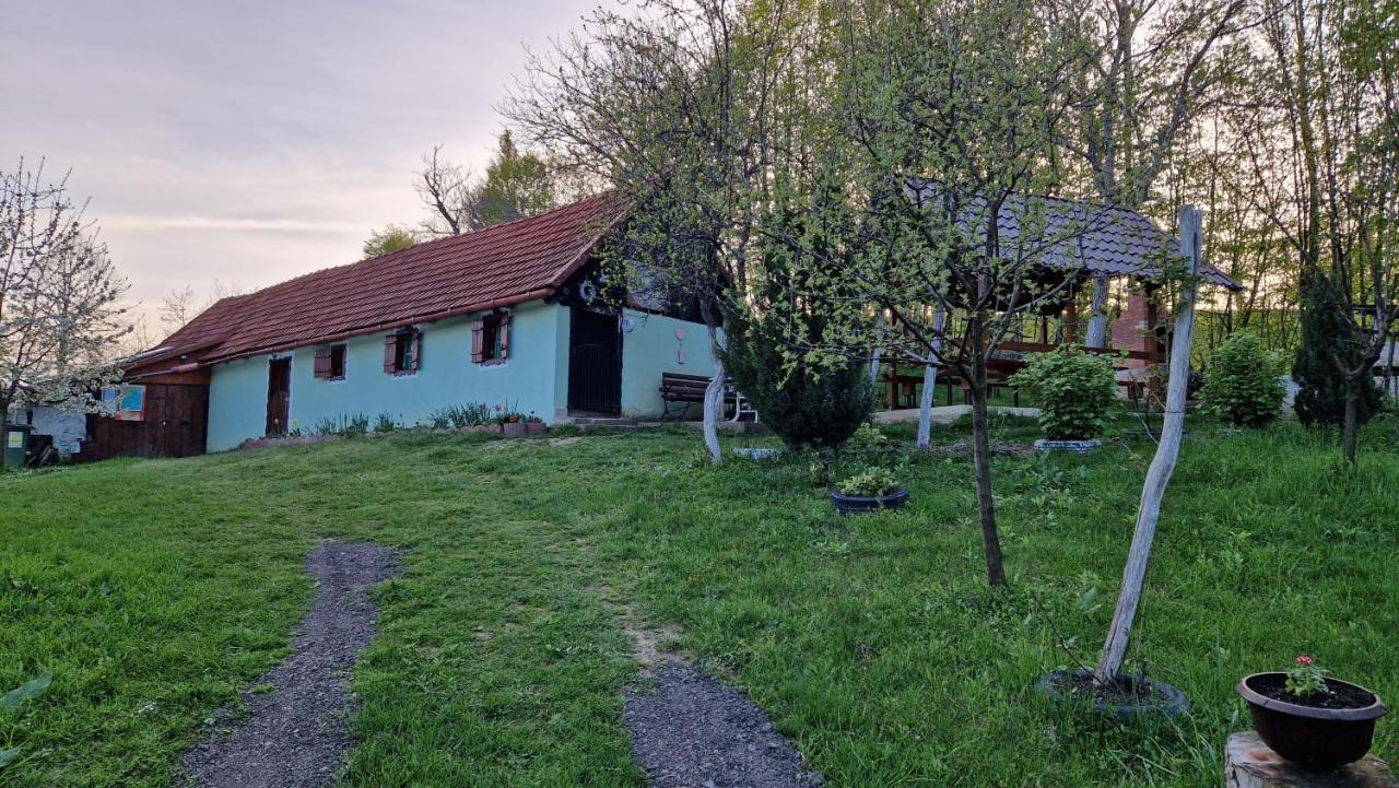 La Salasul Fermecat In Cheile Carasului Iabalcea Exterior foto
