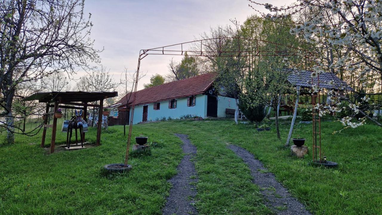 La Salasul Fermecat In Cheile Carasului Iabalcea Exterior foto