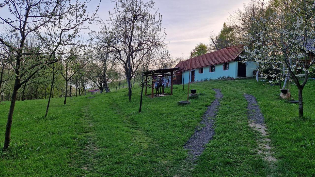 La Salasul Fermecat In Cheile Carasului Iabalcea Exterior foto