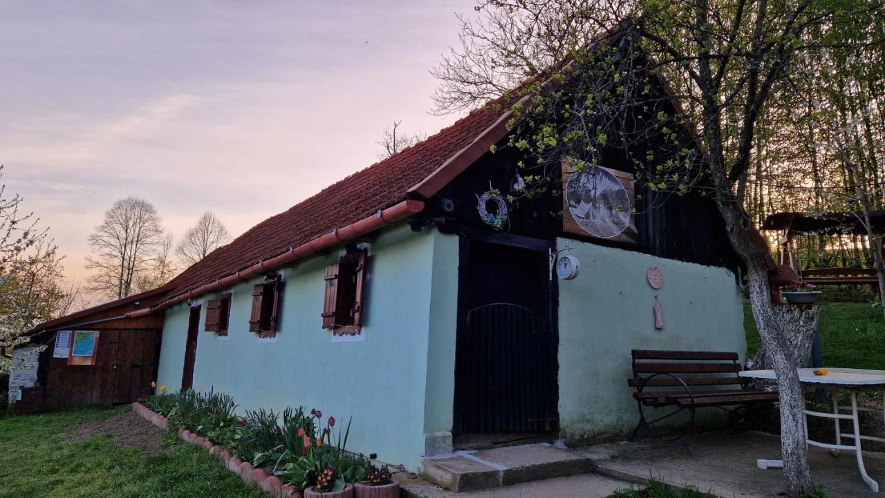 La Salasul Fermecat In Cheile Carasului Iabalcea Exterior foto