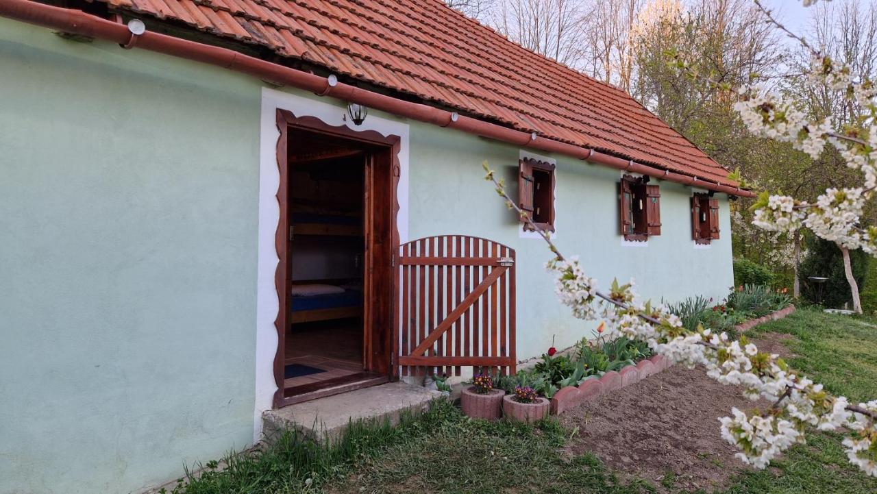 La Salasul Fermecat In Cheile Carasului Iabalcea Exterior foto