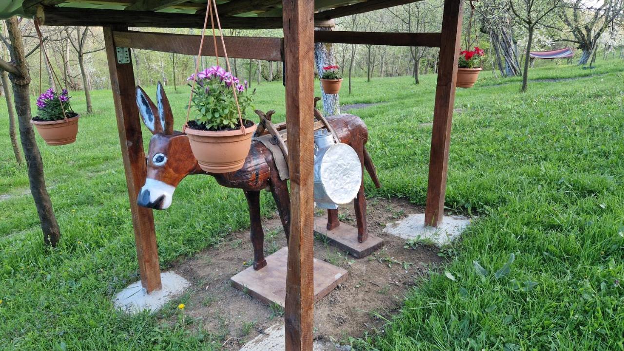 La Salasul Fermecat In Cheile Carasului Iabalcea Exterior foto