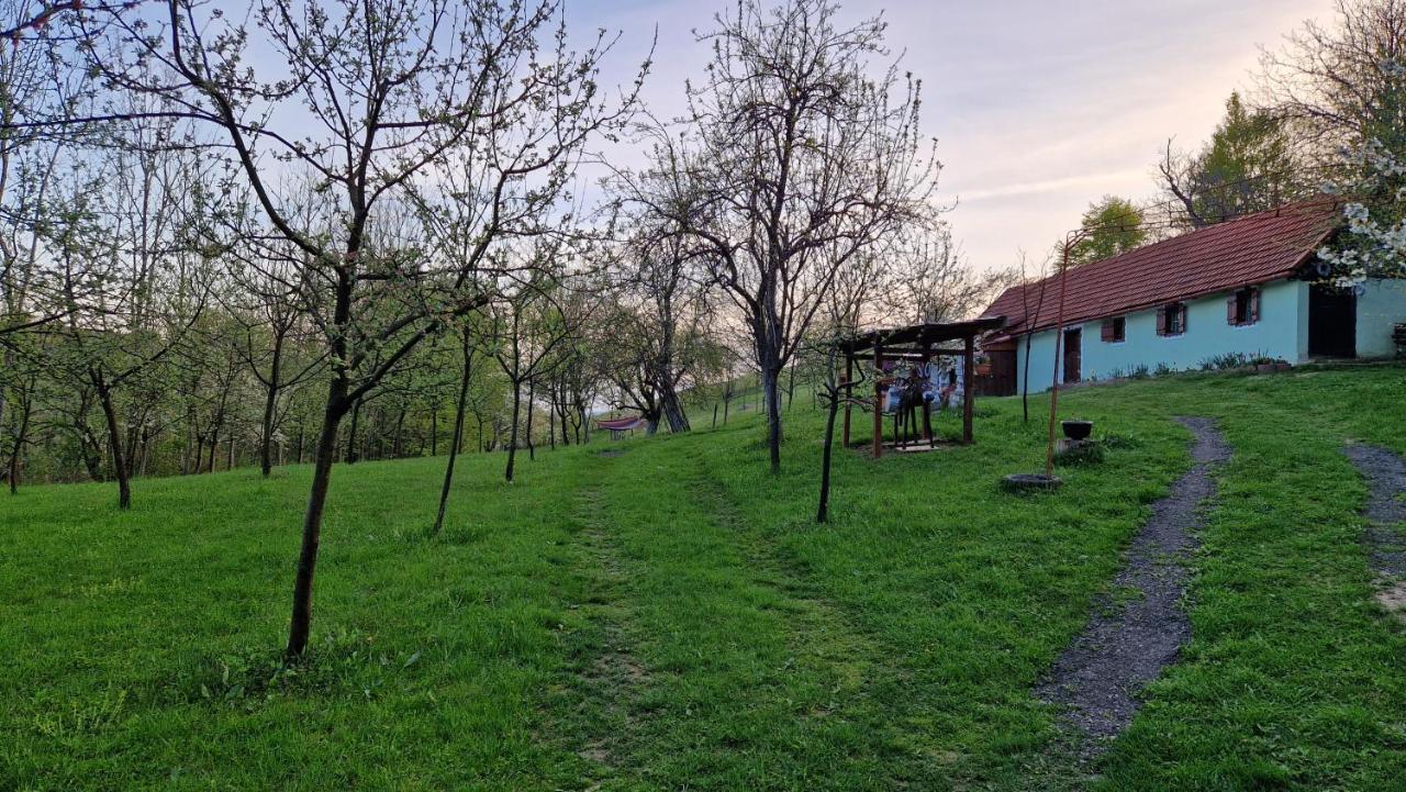 La Salasul Fermecat In Cheile Carasului Iabalcea Exterior foto